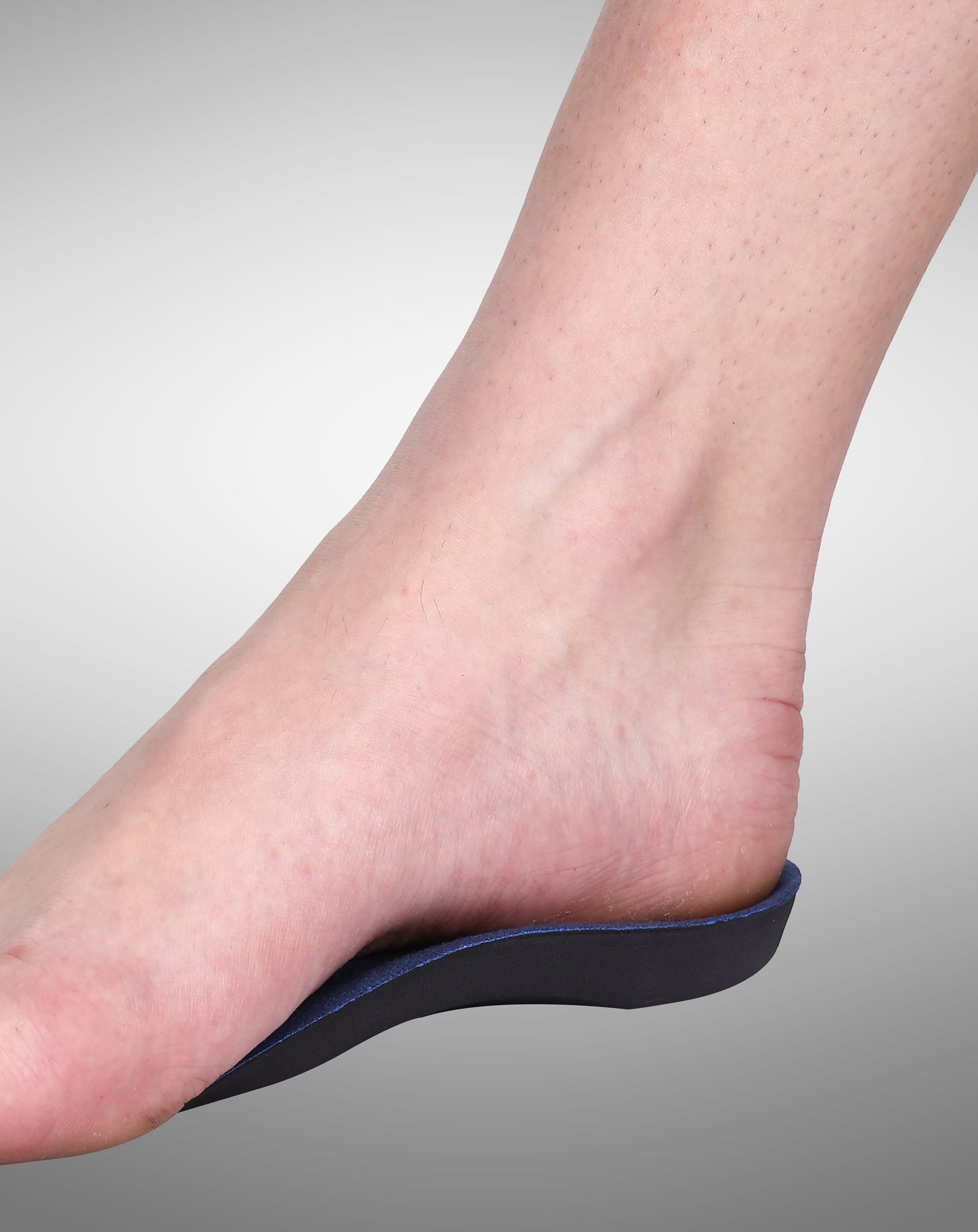569-Arch Support